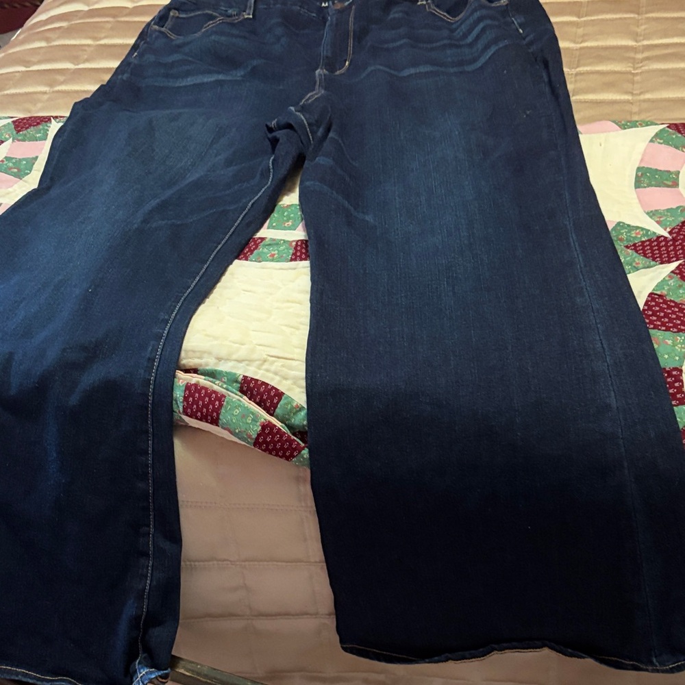 American Eagle Outfitters Dark Blue Women's Jeans